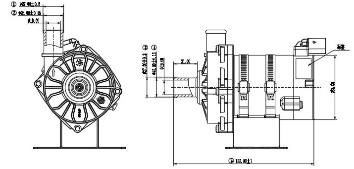 P9008-da.jpg